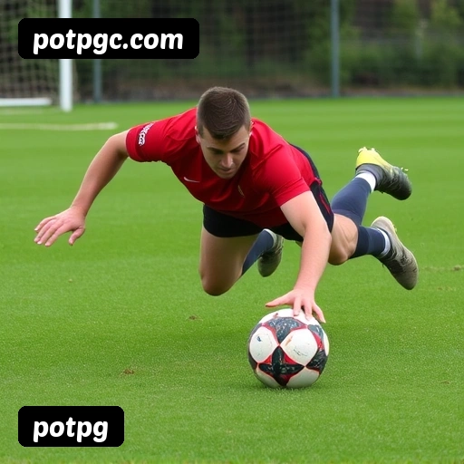 Guia visual quadrado da instalação APK potpg